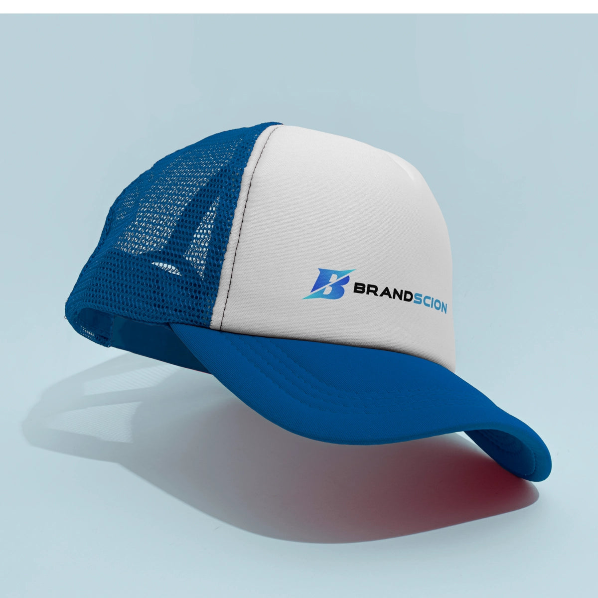 brandscion.com