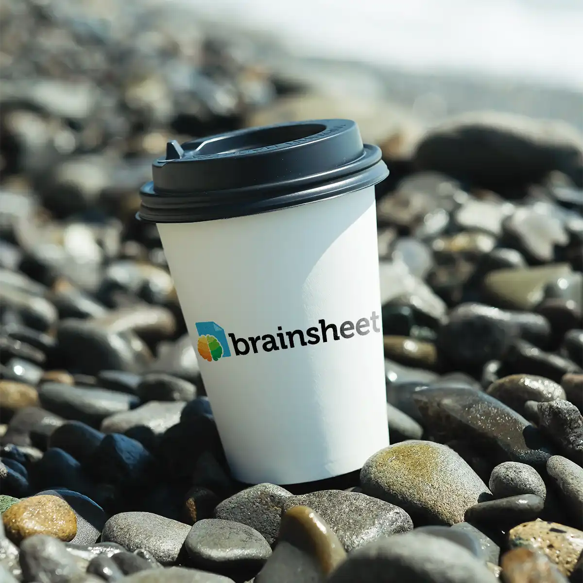 brainsheet.com