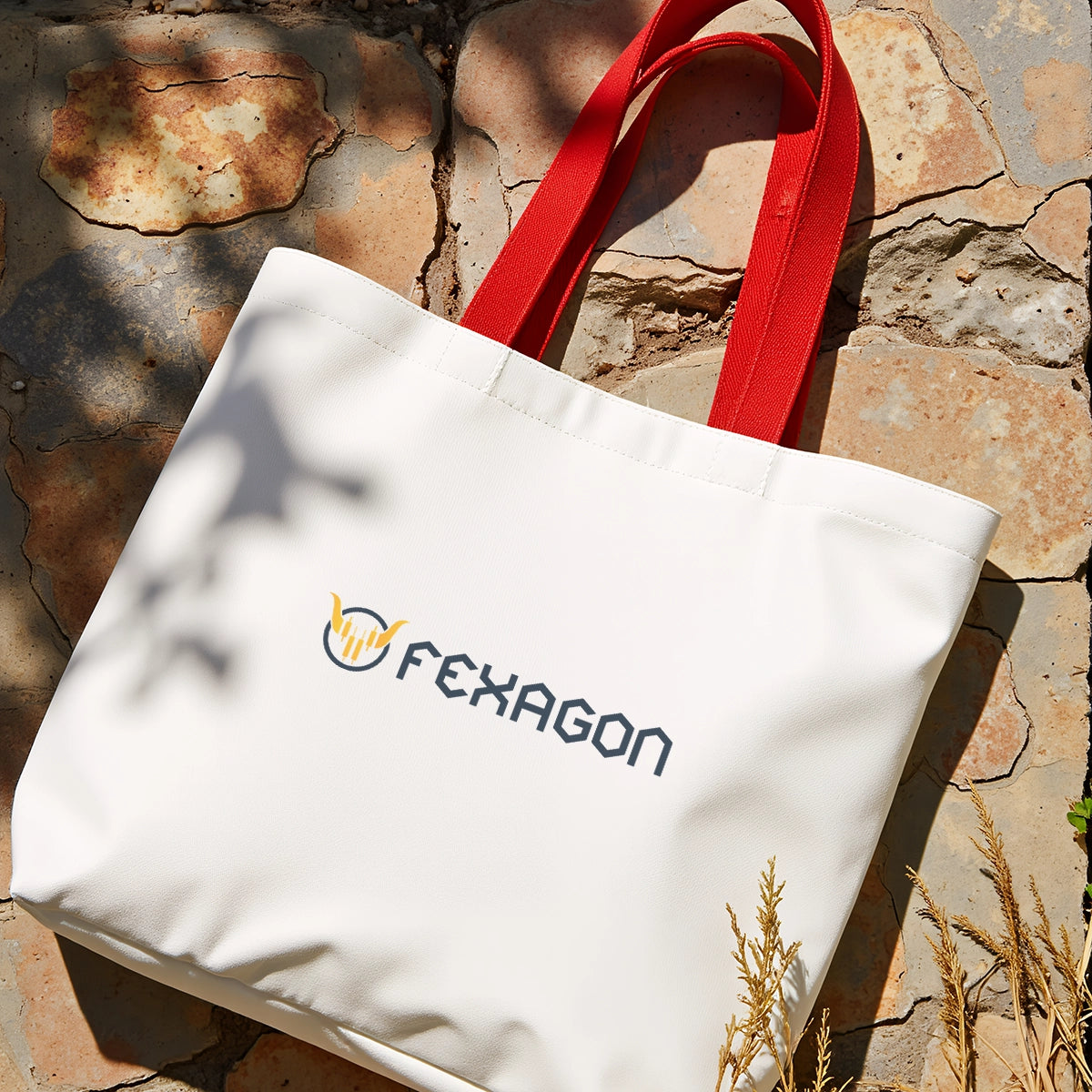 fexagon.com