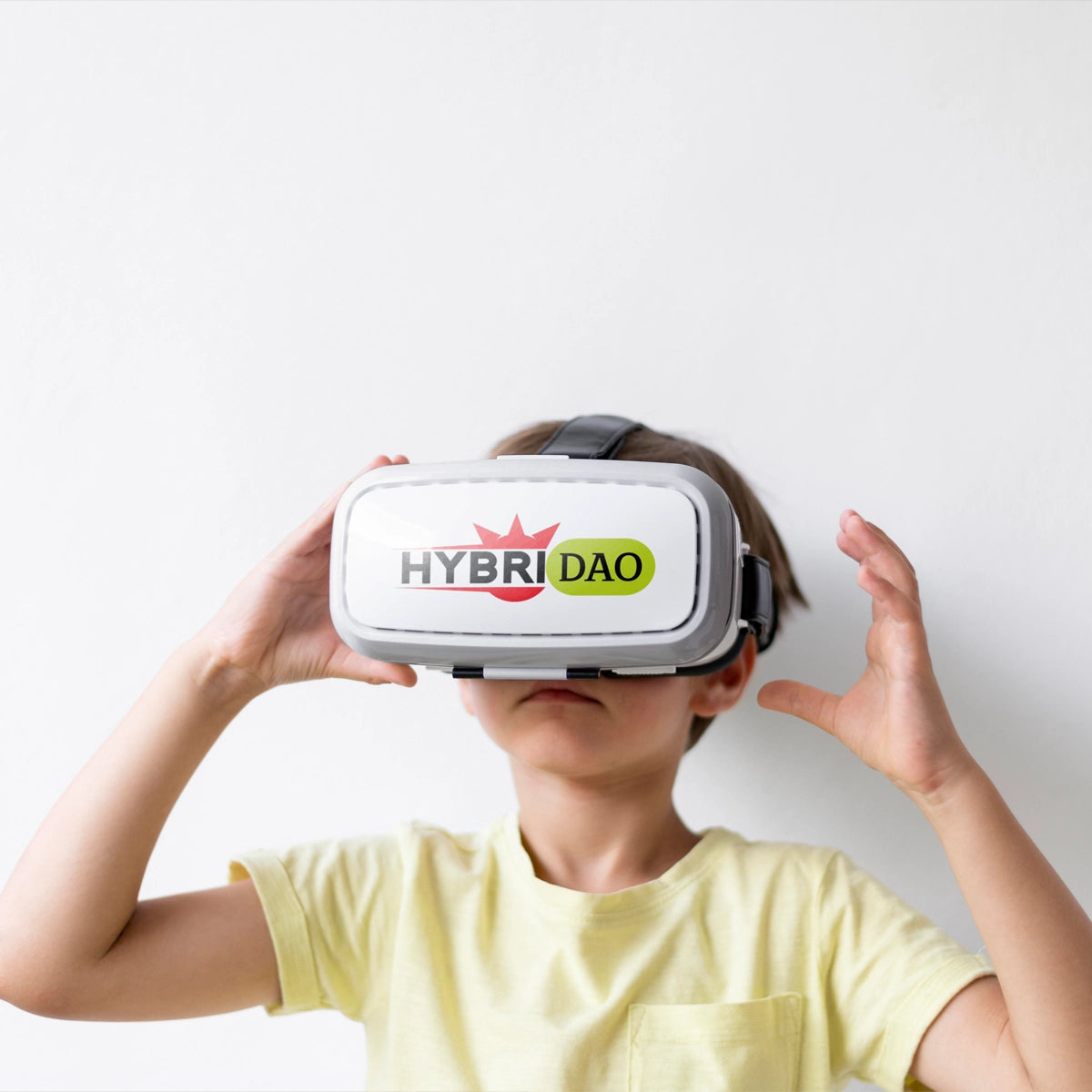 hybridao.com