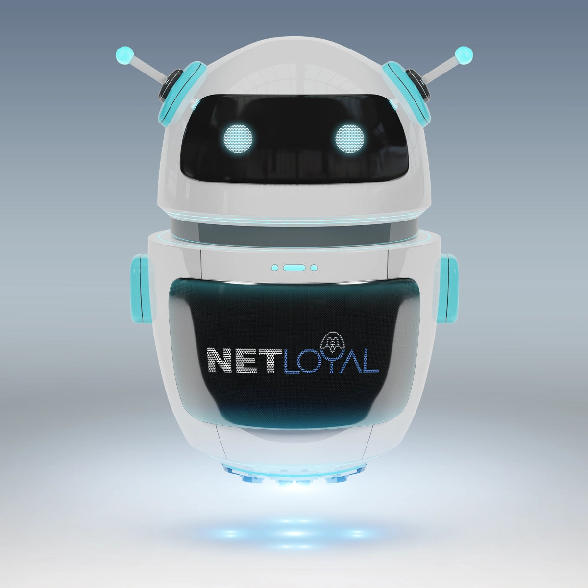 netloyal.com