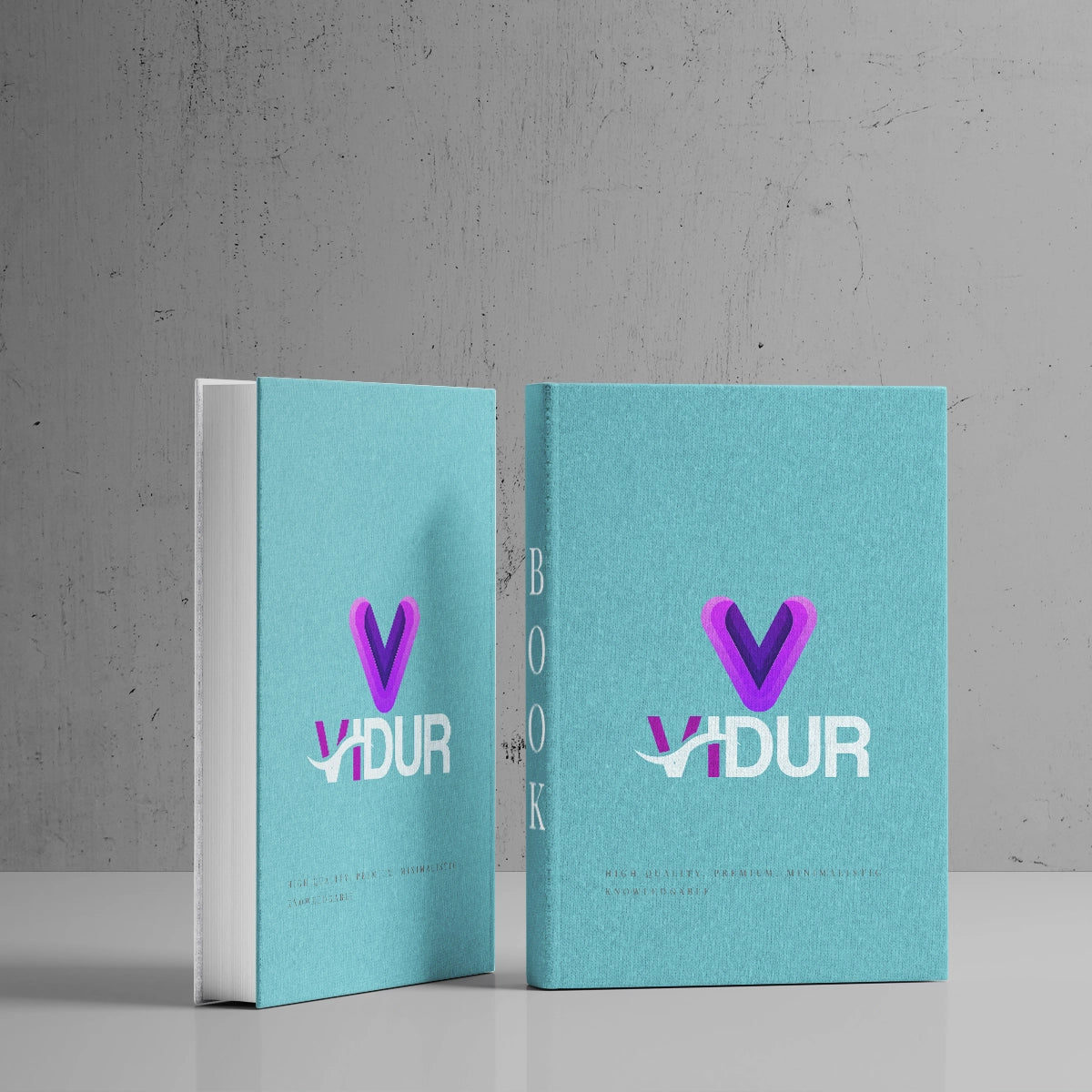 vidur.org