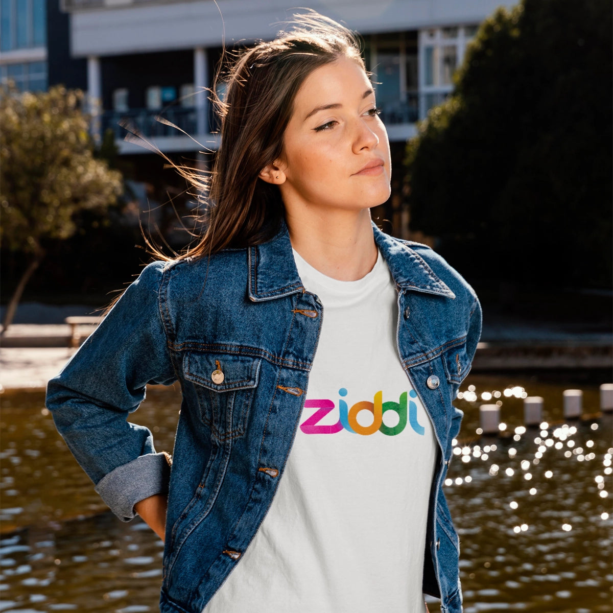 ziddi.xyz