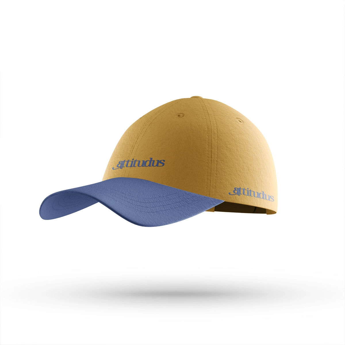 attitudus.com