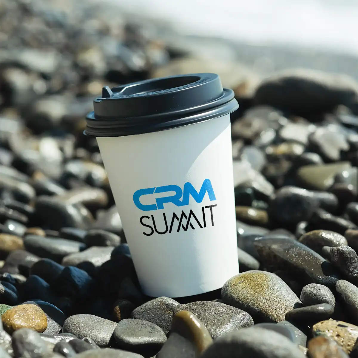 crmsummit.com