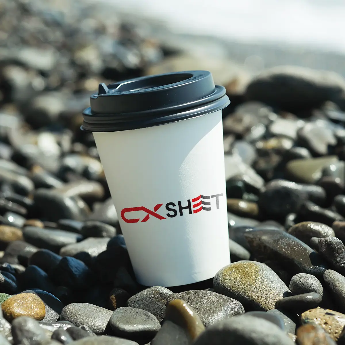 cxsheet.com