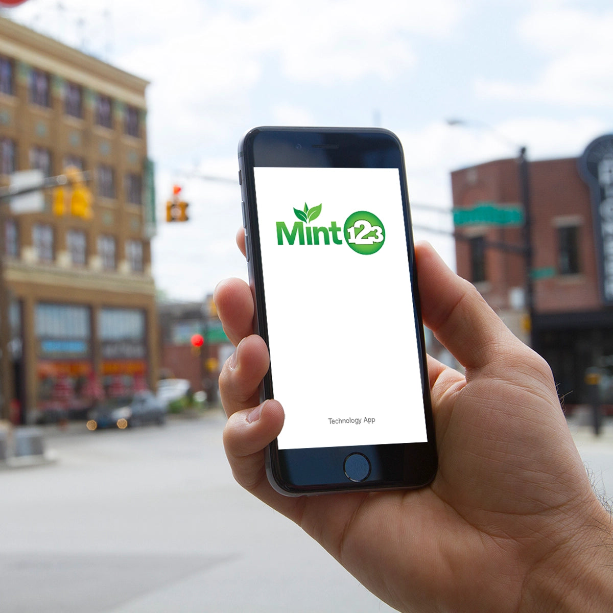mint123.com