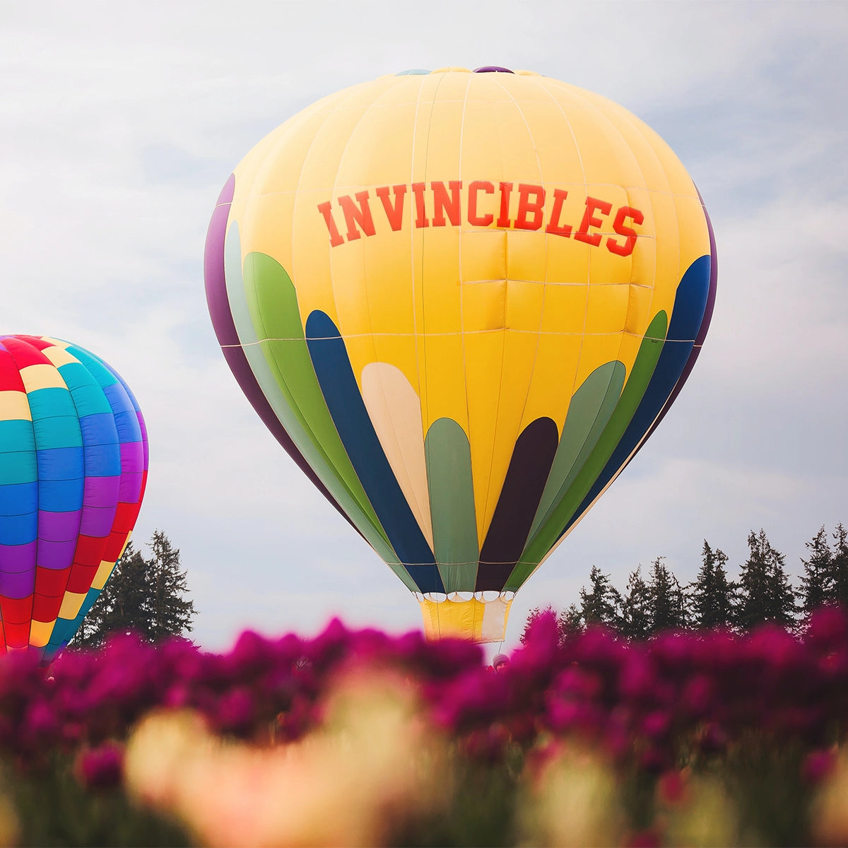 invincibles.xyz