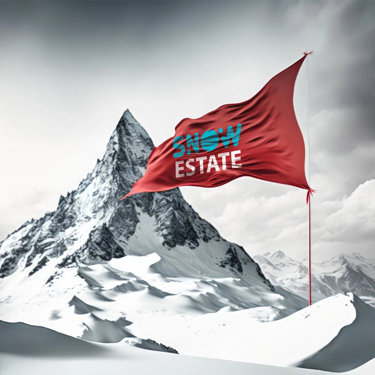snowestate.com
