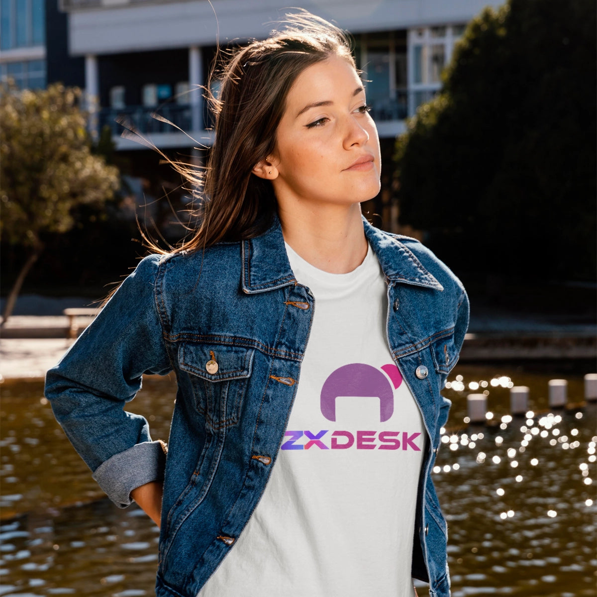 zxdesk.com