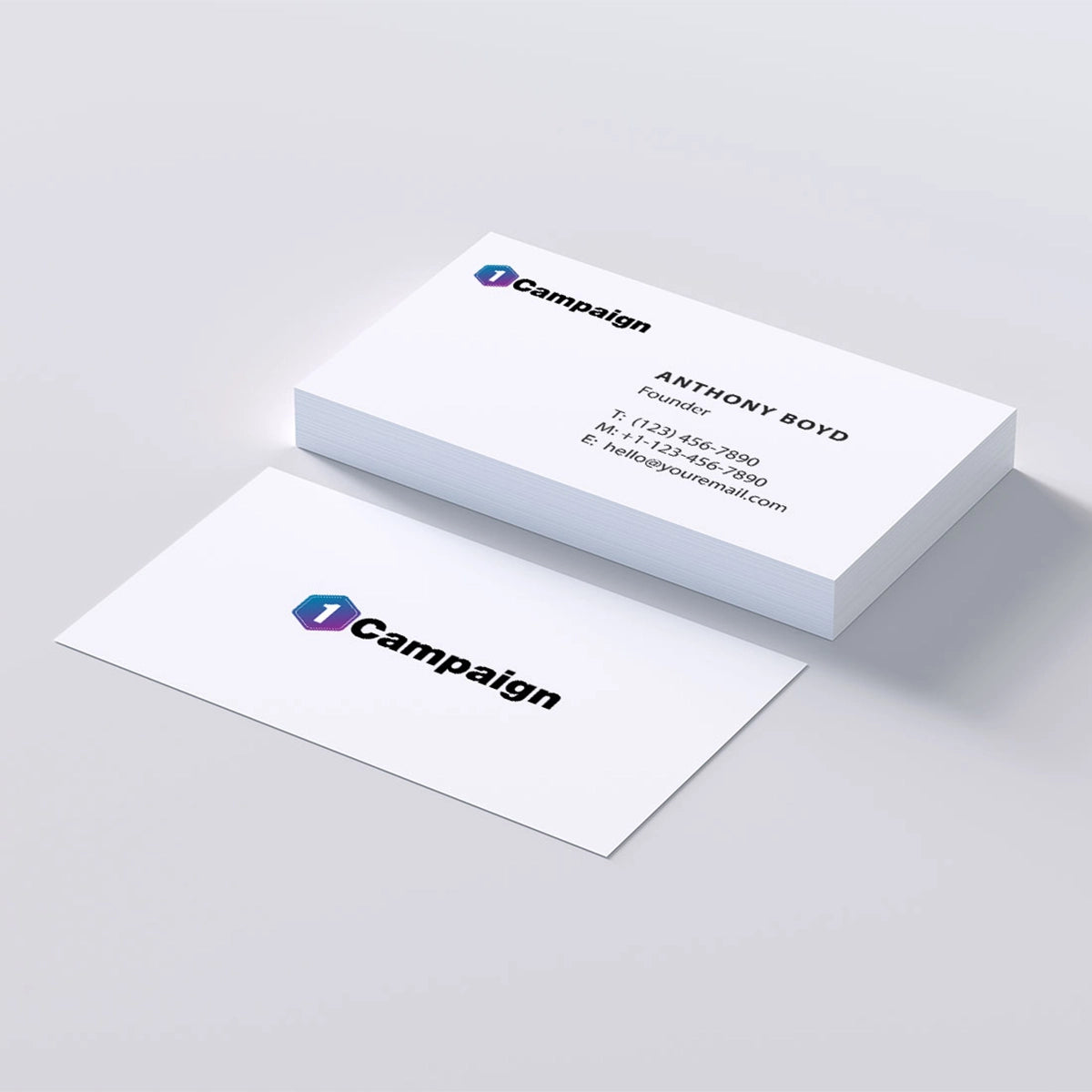 1campaign.com