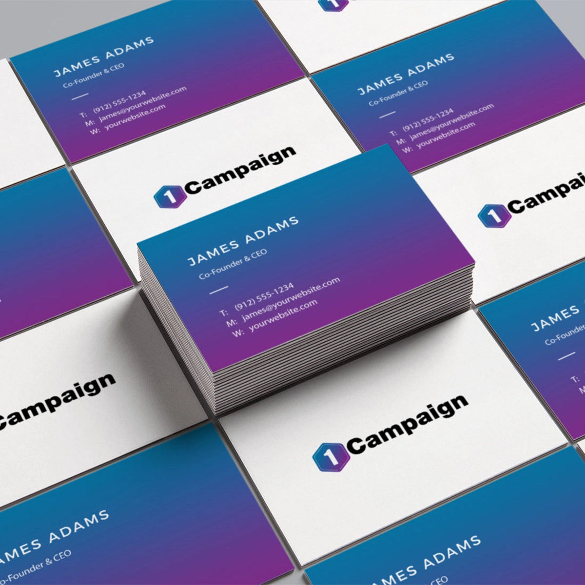 1campaign.com