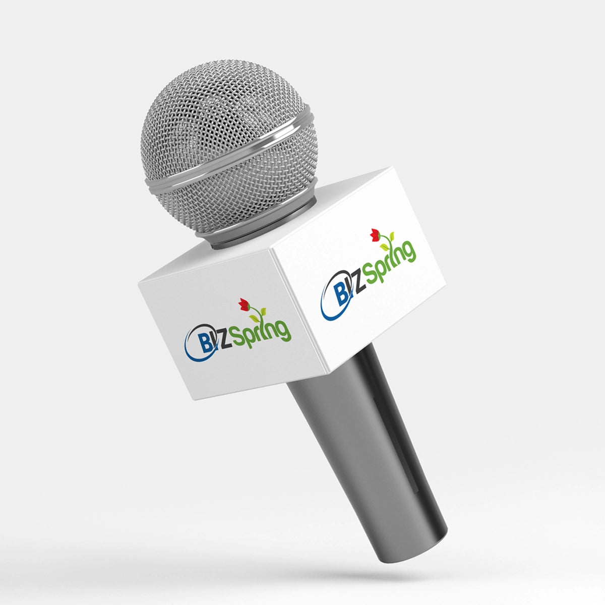 bizspring.xyz