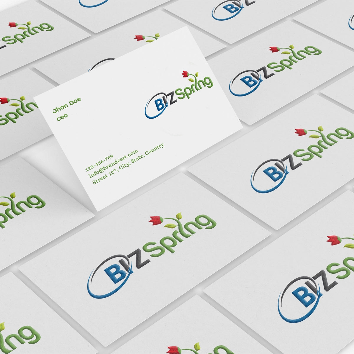 bizspring.xyz