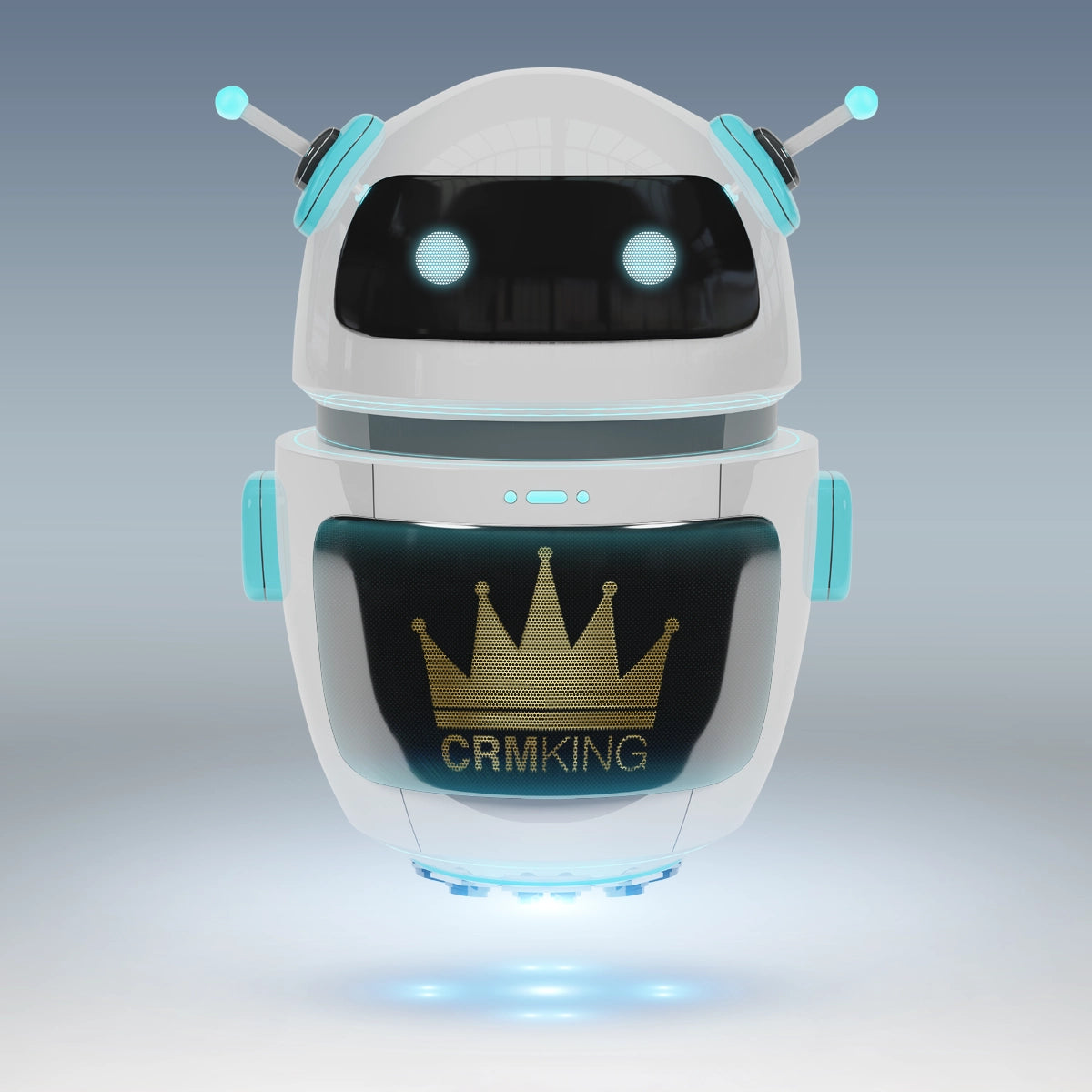 crmking.com