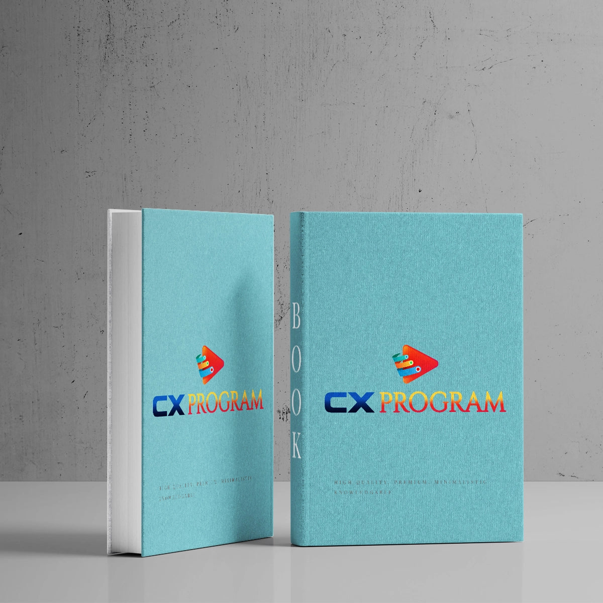 cxprogram.com