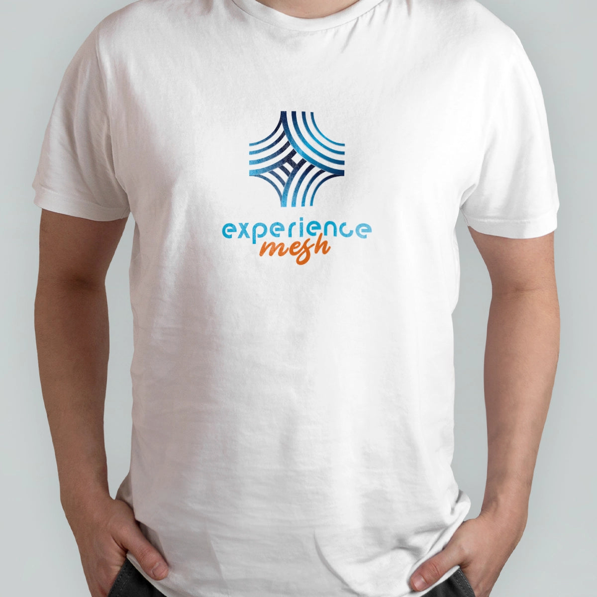 experiencemesh.com