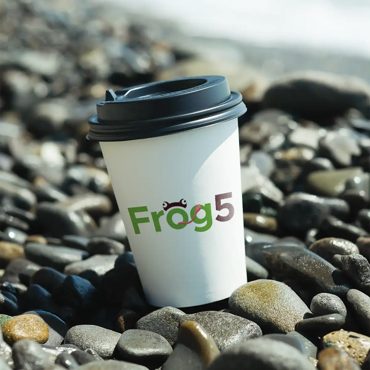 frog5.COM