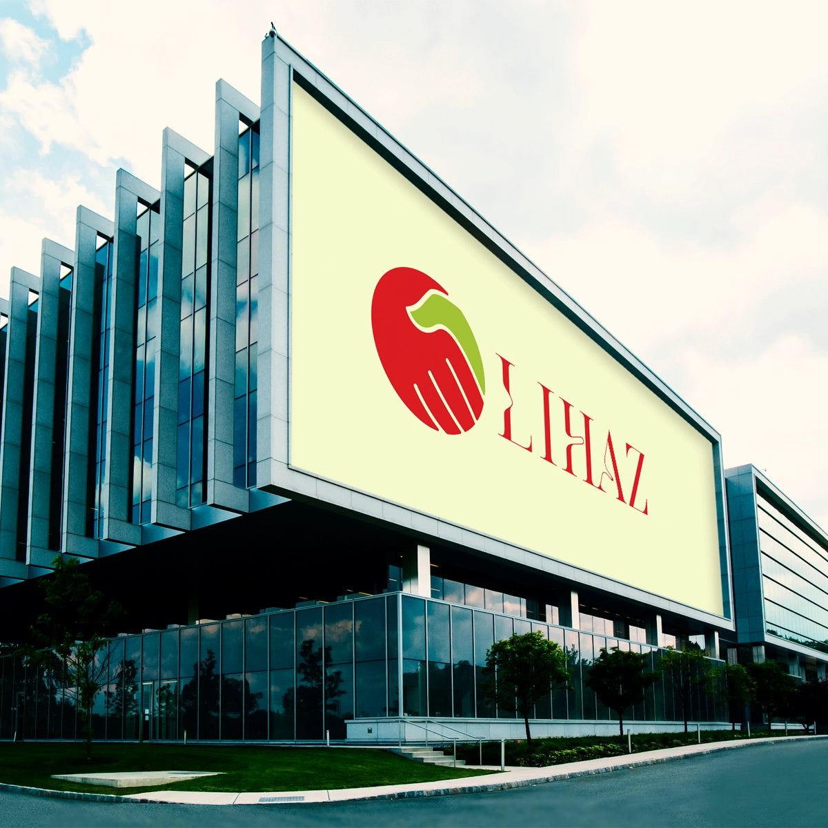 lihaz.com