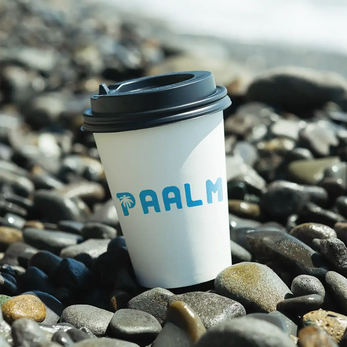 paalm.ai