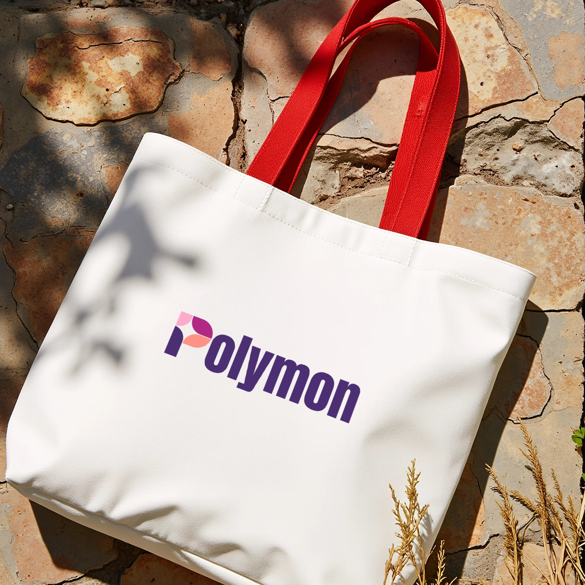 polymon.com