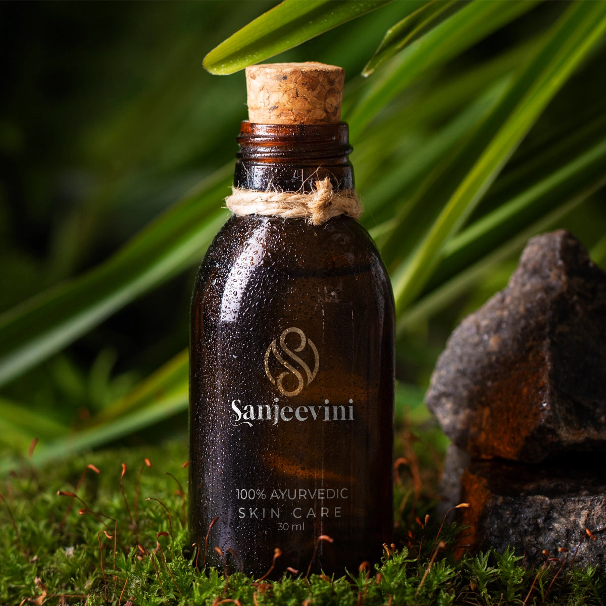 sanjeevini.com