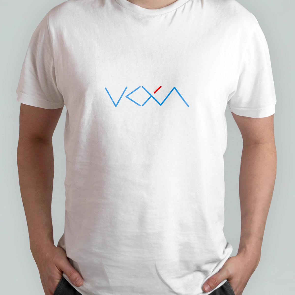 vcxa.com