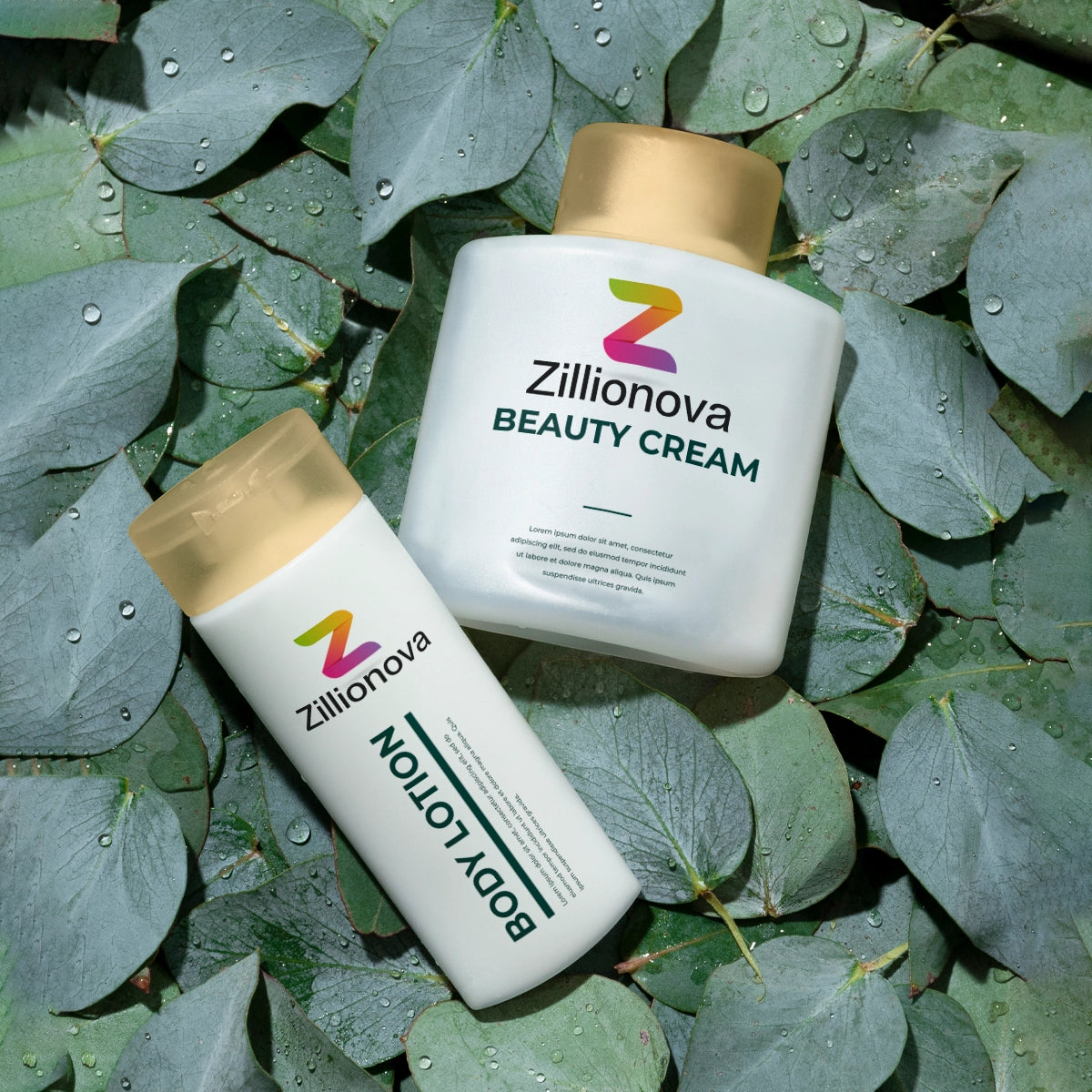 zillionova.com