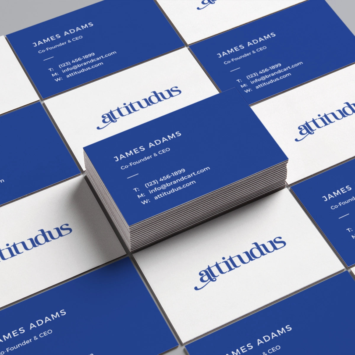 attitudus.com