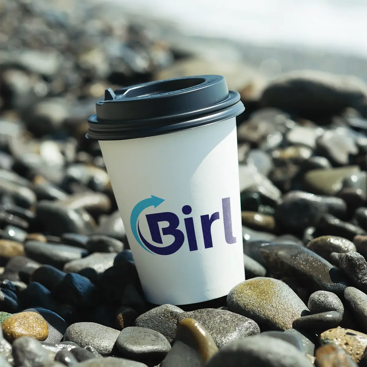 birl.ai