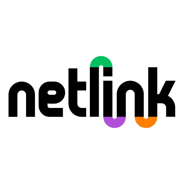 netlink.ai