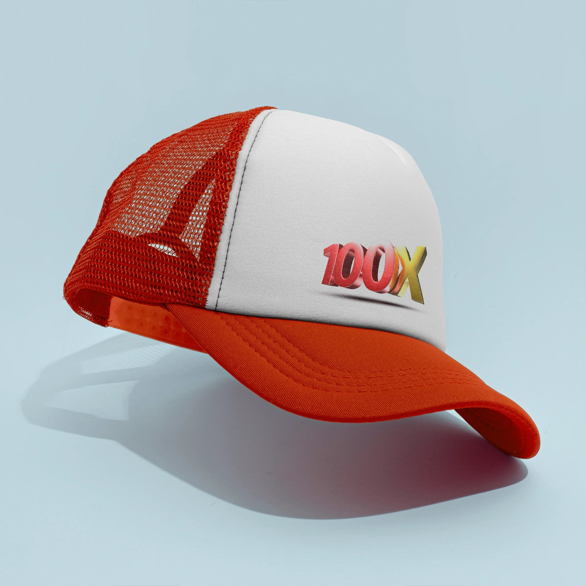 100x.biz