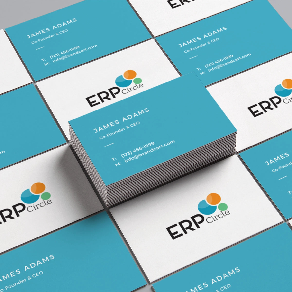 erpcircle.com