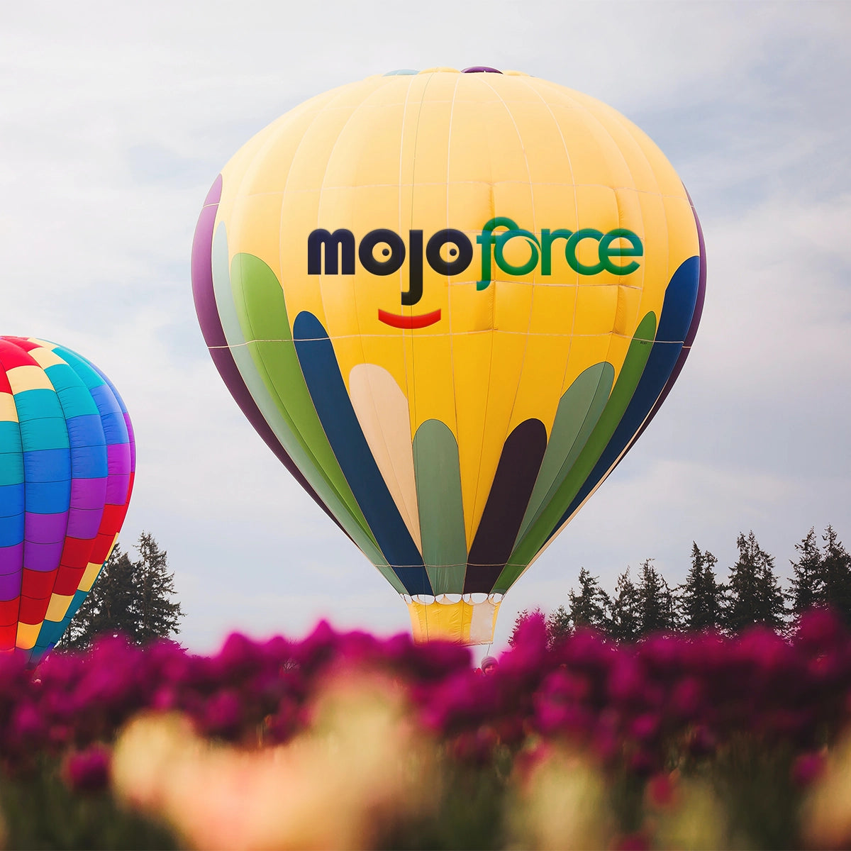 mojoforce.com